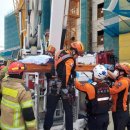 익산시청 이미지