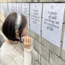 H8517 이미지