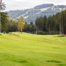 자연설렘 이미지