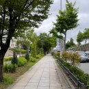 가로수길 이미지