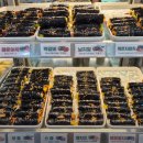 분식을찾는사람들 이미지