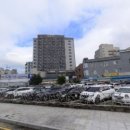 안성농협 본점(안성농업협동조합) 이미지