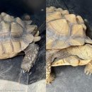 바다마을 이미지