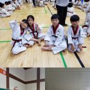 BEST태권도장 이미지