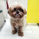 구성2로 이미지