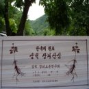 삼척꿀벌농장