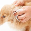 다산동물약국 이미지