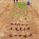 오곡2농장 이미지