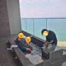 바다를품다 | 매일 아침 동해 바다를 품다, 강릉 신라모노그램 레지던스 스위트 더블 오션뷰 객실후기