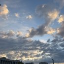 영양도서관 | 본1 첫 학기 중간 후기(중간고사 후기 아님)