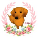 (유)마도로스펫 | [동결건조 간식]마도로스펫 후기♡