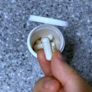 비에날씬 프로와 지엘핏 유산균 비교 후기(꼬옥보세요)