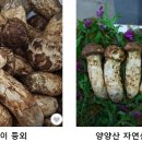 대청수산 티스토리