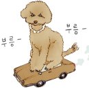 애옹코인노래연습장 이미지