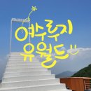 여수 놀거리 여수가볼만한곳 여수루지 유월드