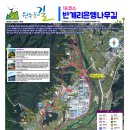 원주굽이길 18코스 반계리은행나무길 이미지