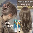 애쉬그레이 카카오 검색결과