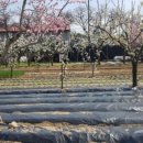 원조태능갈비 이미지