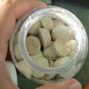 우다다펫푸드(WOODADA PETFOOD) | [강아지간식](펫푸드궁) 궁 유산균 동결건조 참치