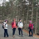 위곡3리 마을회관 이미지