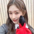 아이브코리아