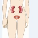 브니엘요양병원 이미지