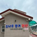 거제소나무향기가족낚시펜션
