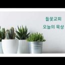 2026년 06월 30일 (화) 제목 : 솔로몬의 신하들 오늘의 말씀 : 열왕기상 4:1-19 이미지