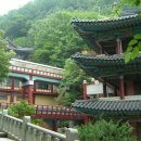 구인사(식당3) - 36670 | 구인사(식당3)