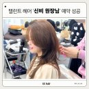 탤런트미용실 | 대구 동성로 탤런트헤어 신비 원장님 예약 성공