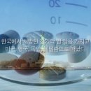 약과 예방접종의 모든것.. 세계 9개국 비교 이미지