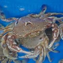 제일할인마트 이미지