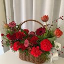 더피우리 이미지