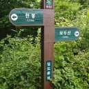한재미농장 Daum카페