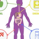 어반액티브 이미지