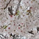 장자호수길 이미지