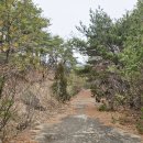 서진주IC 인공폭포 | 영동 양산8경 영국사둘레길-금강둘레길-월영산 출렁다리 여행기록