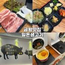 일돈생고기