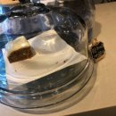 커피생활 이미지