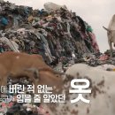 슬로우패스트 티스토리
