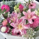 숭인초등학교 이미지