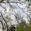 파란새싹어린이집 이미지