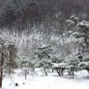 토요일오후 티스토리
