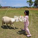 아이뜰유치원 | 경남하동 아이랑 가볼만한곳 해뜰목장 피자만들기 먹이주기 체험 내돈내산 솔직후기
