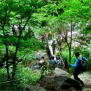 지리산 구룡계곡 ( 추천 ) 이미지