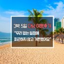 3박 5일 다낭패키지 솔직 여행후기 - [항공 · 호텔 · 식사 · 가이드]