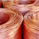 씨씨알(주) 이미지