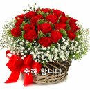 카페나비떼