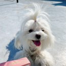 한방애개건강 이미지