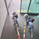 퍼피트리 애견유치원&호텔 이미지